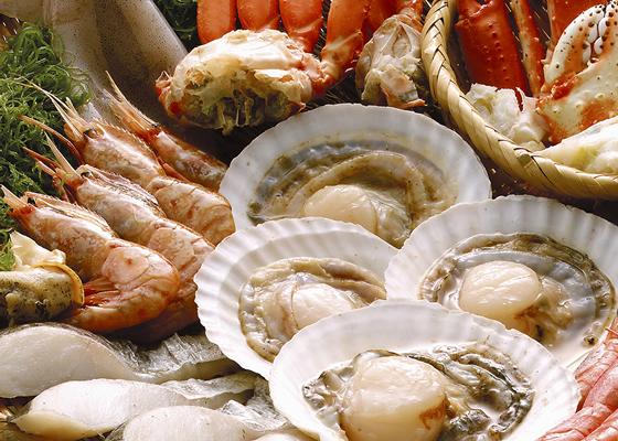 各種魚貝類全般